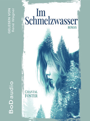 cover image of Im Schmelzwasser (Ungekürzt)